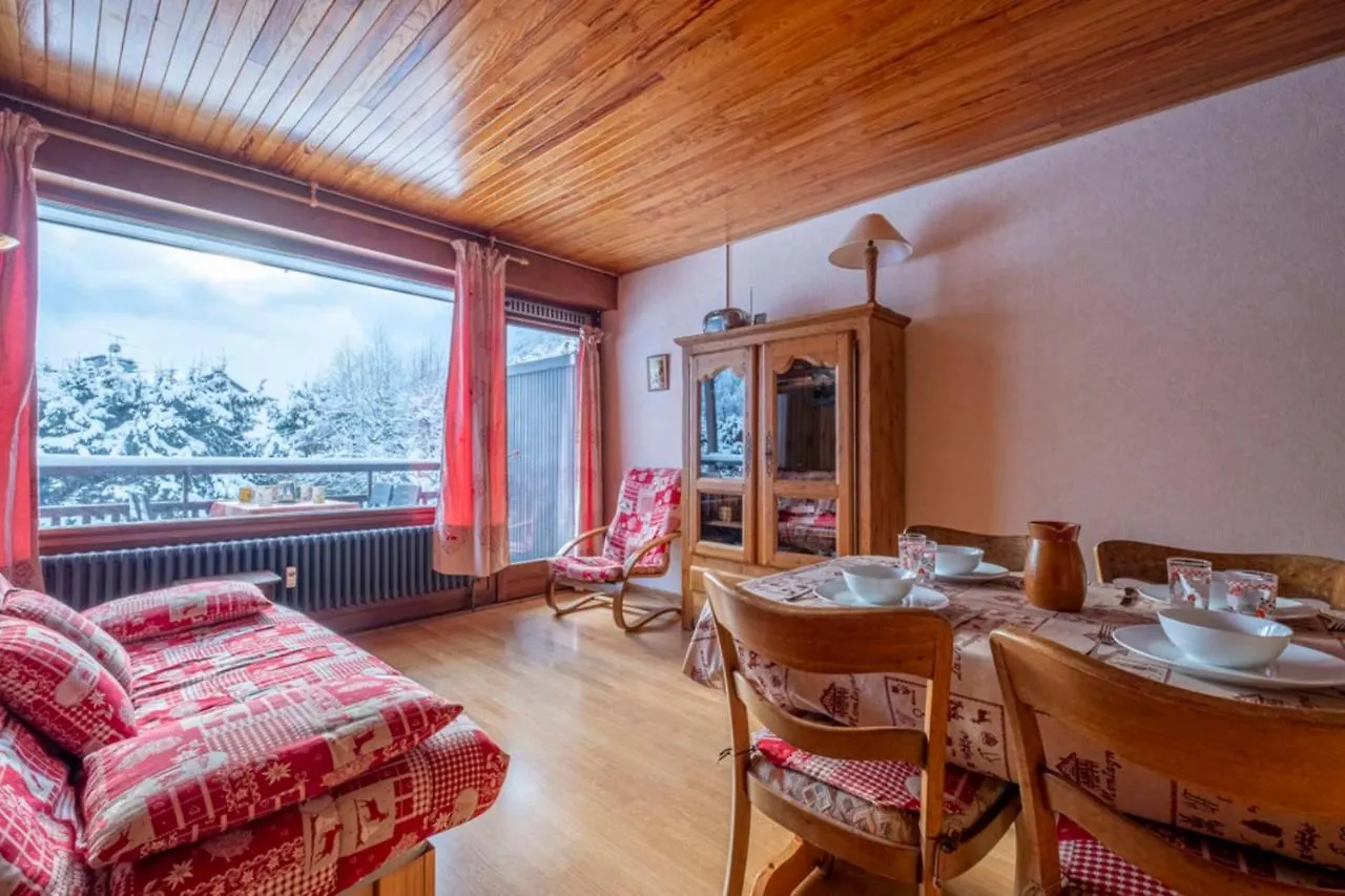 Apartment With Balcony Close To The Ski Slopes Chamonix France